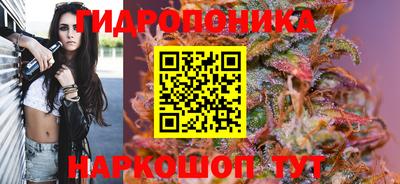 соль ск Аргун