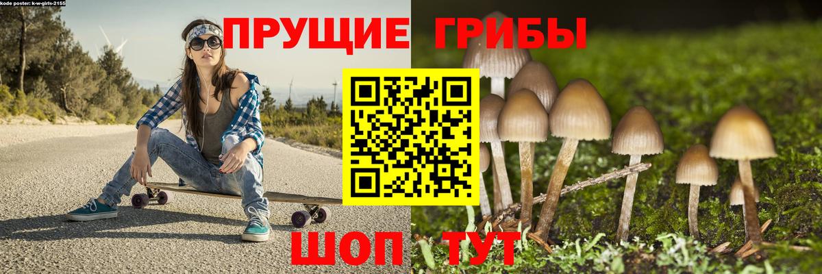 Владивосток  Галлюциногенные грибы Psilocybine cubensis  Галлюциногенные грибы GOLDEN TEACHER  Вход с VPN 