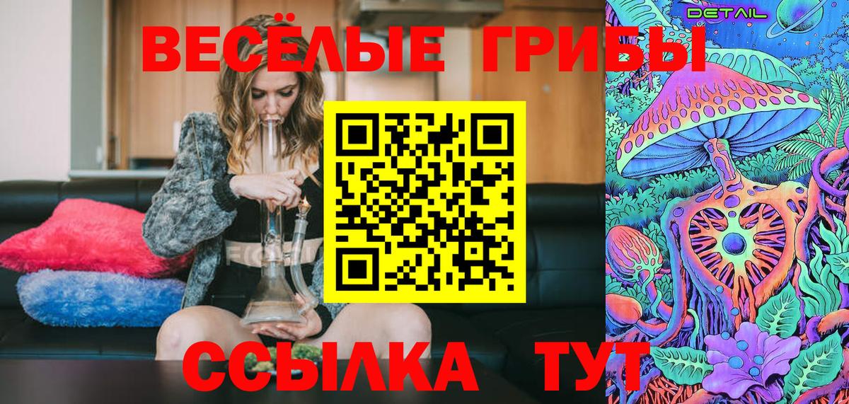 Псилоцибиновые грибы Psilocybe Владивосток
